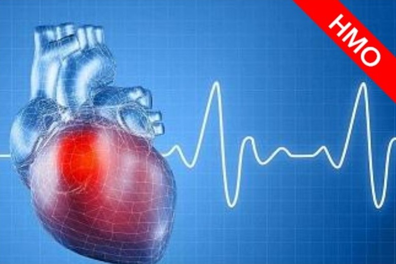 Актуальные вопросы антикоагулянтной терапии при фибрилляции предсердий (Цикл НМО)