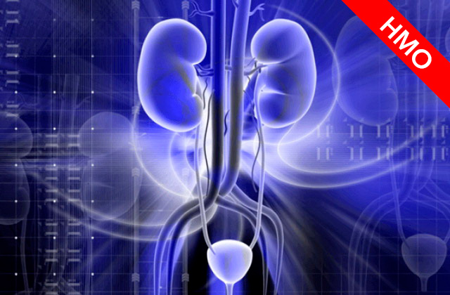 Актуальные вопросы лучевой диагностики в урологии (Цикл НМО)