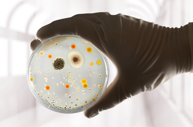 Паразитология